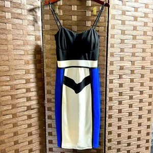 Bodycon dress, Blue, White and Black